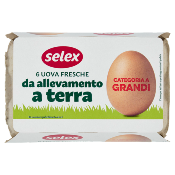 Selex 6 Uova Fresche Grandi da Allevamento a Terra Categoria A