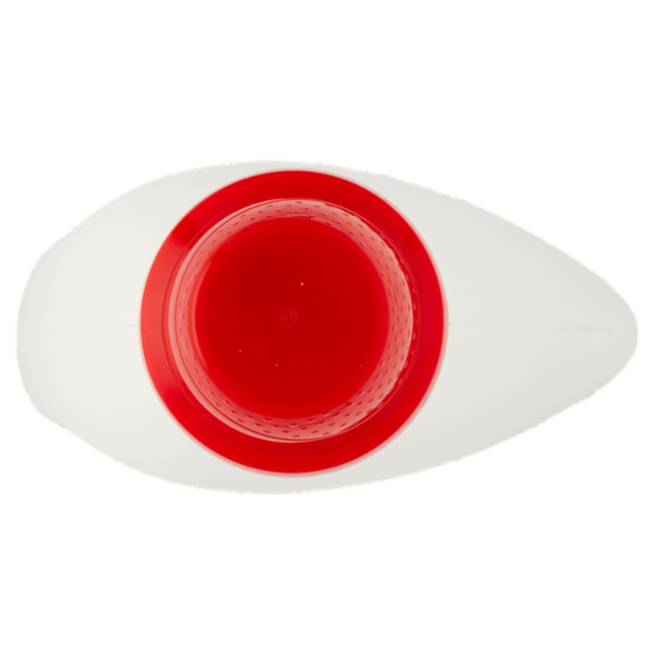 DIXAN Liquido Classico 24 Lavaggi 1.080 ml