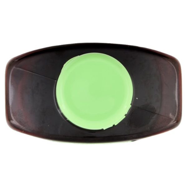 I Provenzali Shampoo Erboristico Purificante Limone e Ortica Capelli Grassi 250 ml