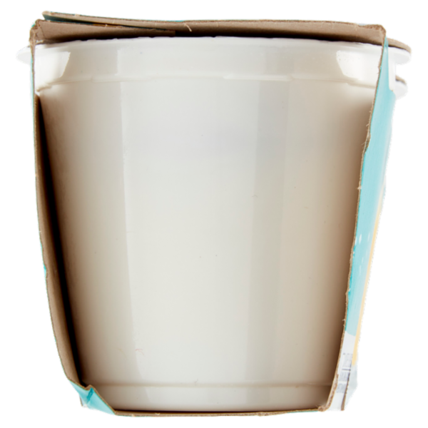 IL GIGANTE Yogurt Magro Ananas 2 x 125 g