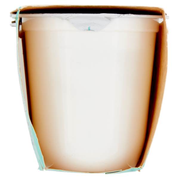 Granarolo Yogurt Cremoso al limone 2 x 125 g