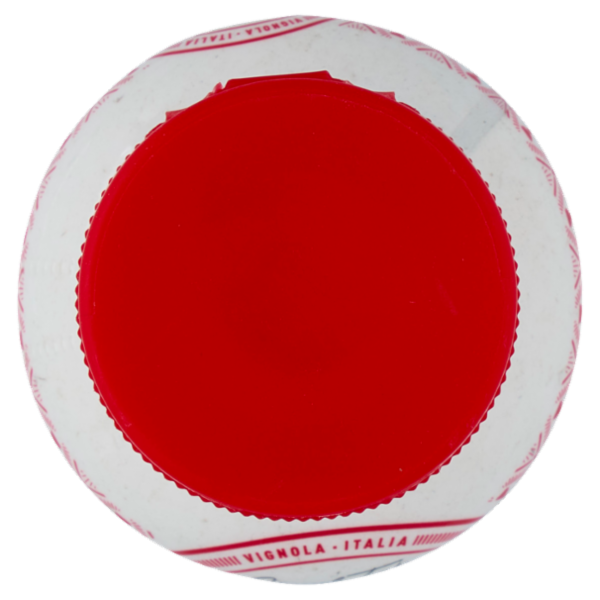 Toschi Topping al Gusto Cioccolato 200 g