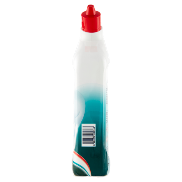 Spic & Span Gel WC Disincrostante Fresh Forest 750 ml
