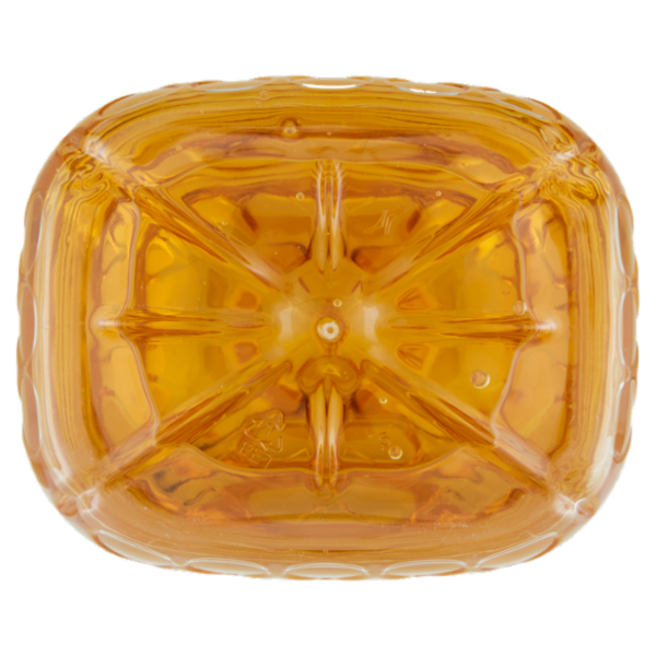 Sù Olio di Semi di Soia 5 L