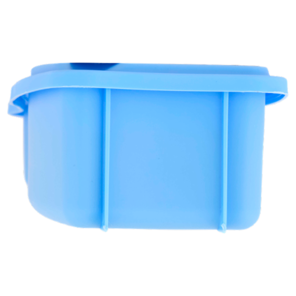 Felce Azzurra classico Gel assorbiodori 140 g