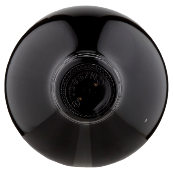 Terredavino Freisa d'Asti DOC Vino Frizzante 75 cl