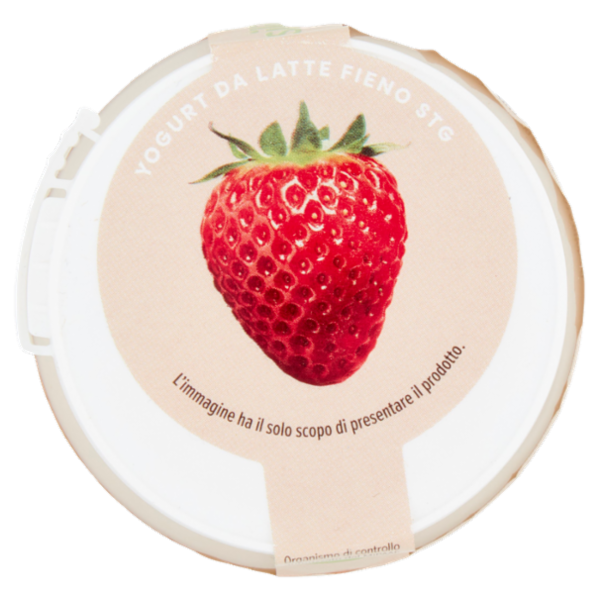 Consilia Yogurt Intero Fragola Biologico 150 g