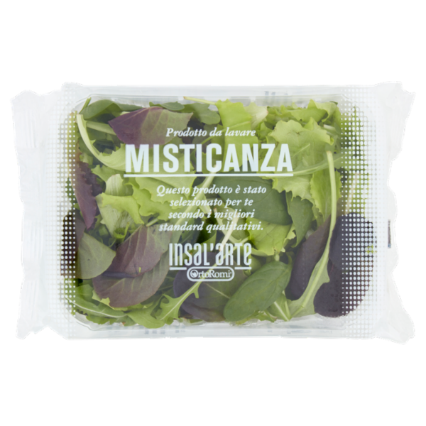 Insal'Arte Misticanza 100 g
