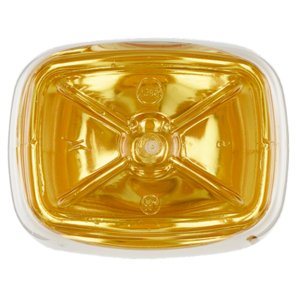 Consilia Olio di Semi di Arachide 1 L