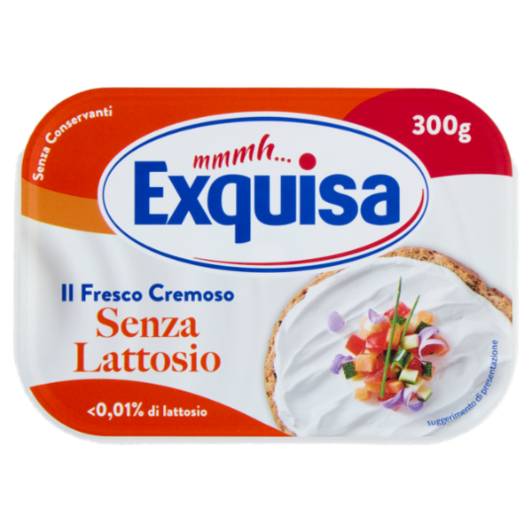 Exquisa il Fresco Cremoso Senza Lattosio 300 g