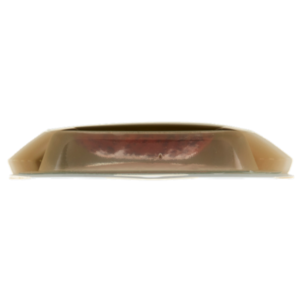 Fumara Sashimi di Salmone Affumicato con zenzero e semi di chia 100 g