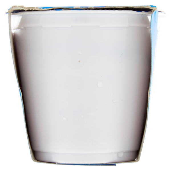 Selex Yogurt Intero Mirtilli con Frutta in Pezzi 2x125 g