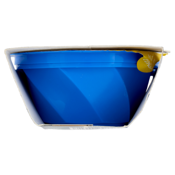 dolfin sensofreddo il sorbetto con succo di limone di Sicilia 2 x 100 ml