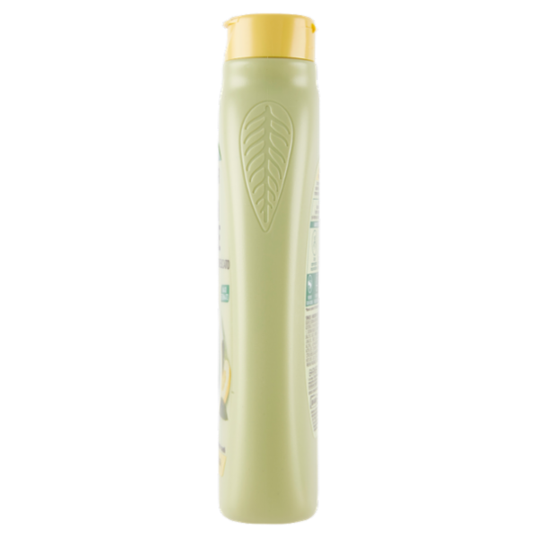 Garnier Ultra Dolce Shampoo purificante Argilla Dolce e Cedro per capelli grassi 300 ml