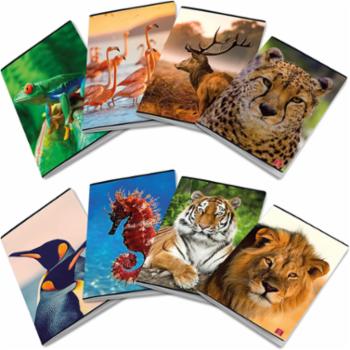Confezione Da 5 Maxiquaderni Rigo Q