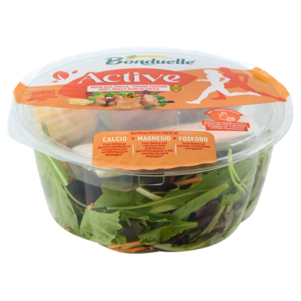 Bondulle Active Insalata, Pollo,