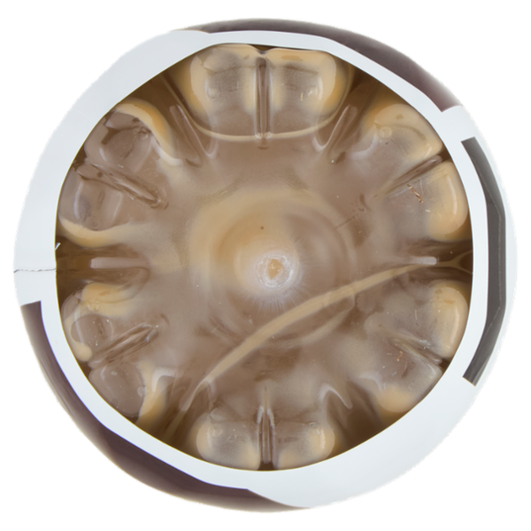 San Benedetto Avena Caffè e nocciola 0,40L