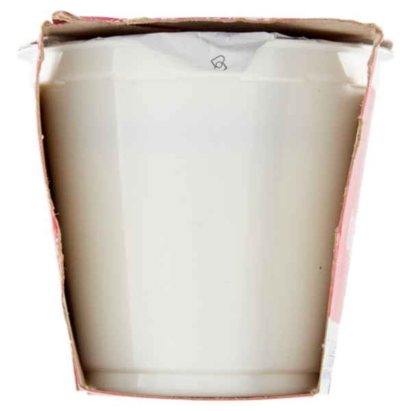 IL GIGANTE Yogurt Bianco Intero 2 x 125 g