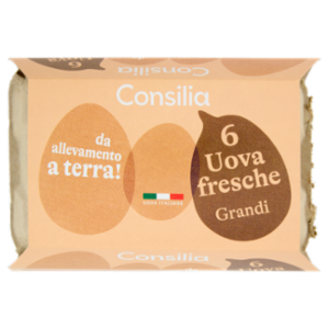 Consilia 6 Uova Fresche Grandi Da Allevamento a Terra