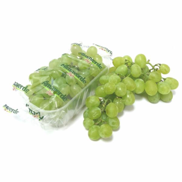 UVA BIANCA BIO G.500