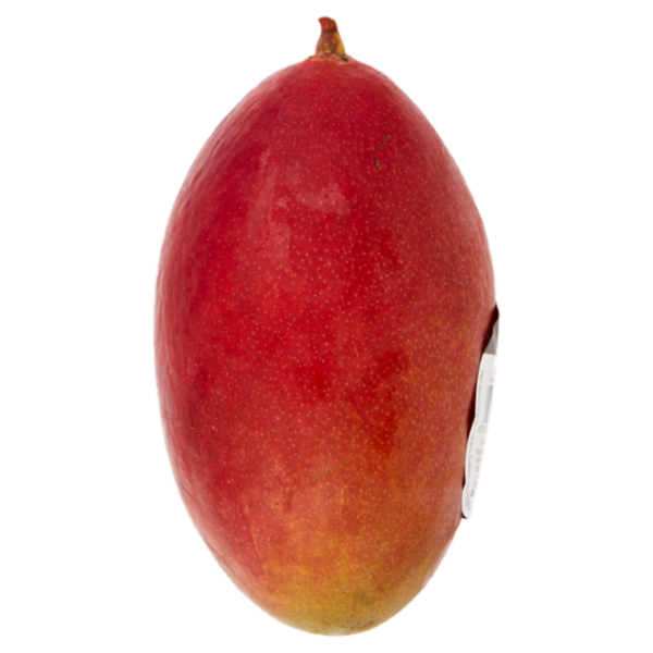 Selex Saper di Sapori Mango 380 g