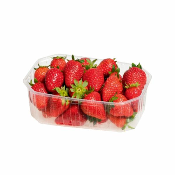 Fragole Italia Cal. 22mm 500 g