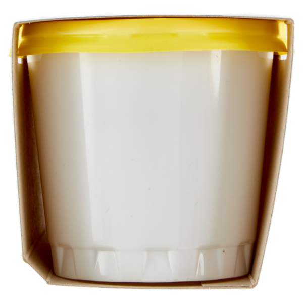 Alpigel Granite gusto Limone senza coloranti 2 x 135 g