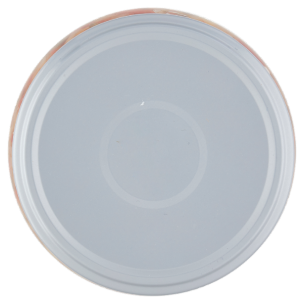 Coelsanus Farci Toast Salsa Vegetale Classico 535 g