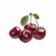 Ciliegie Bigarreaux Sfuse