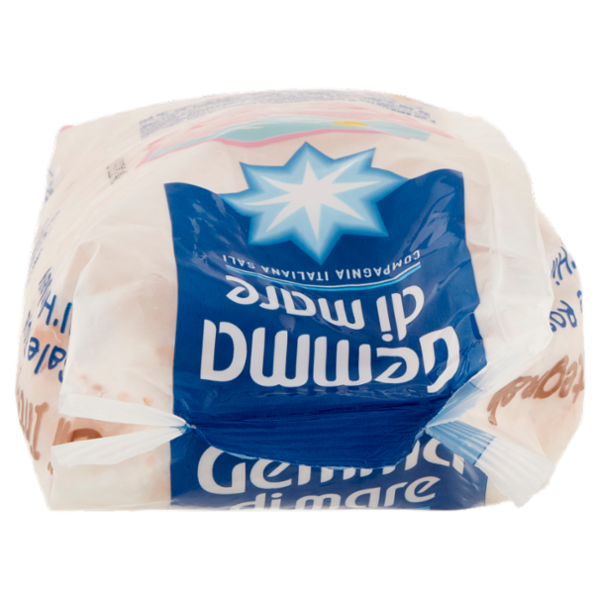 Gemma di mare Gli Integrali Sale Rosa dell'Himalaya Grosso 1000 g