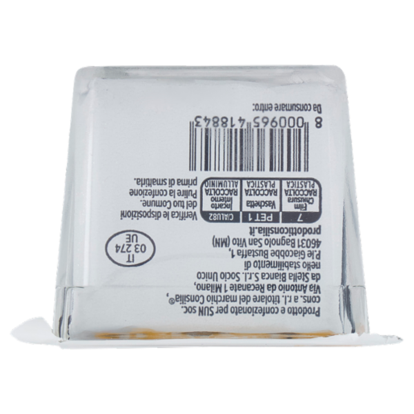 Consilia Robiola Senza Lattosio 100 g