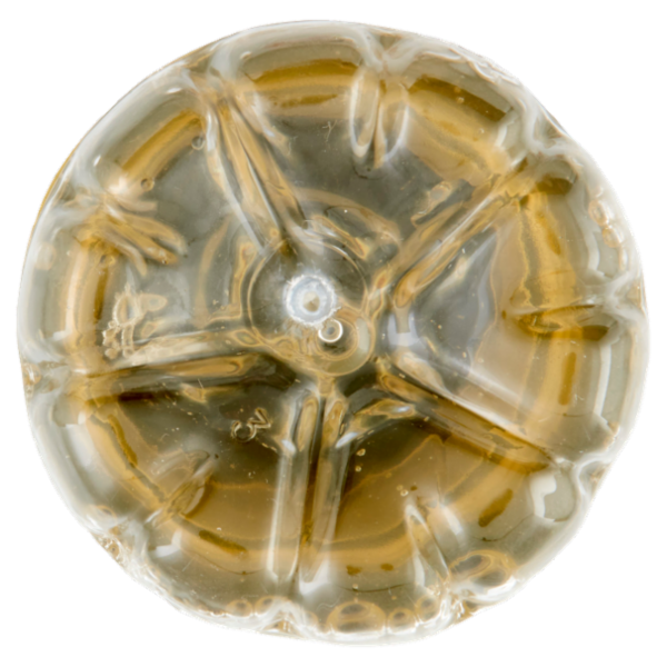 Sant'Anna Pro 15g Proteine + Zinco Gusto Tropical 330 ml