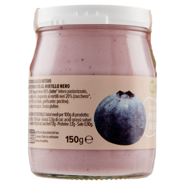 Consilia Yogurt Intero Mirtillo Nero Biologico 150 g