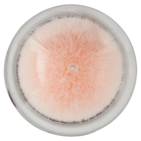 Maybelline New York Correttore Liquido Il Cancella Età, Copre Occhiaie e Piccole Rughe, 07 Sand