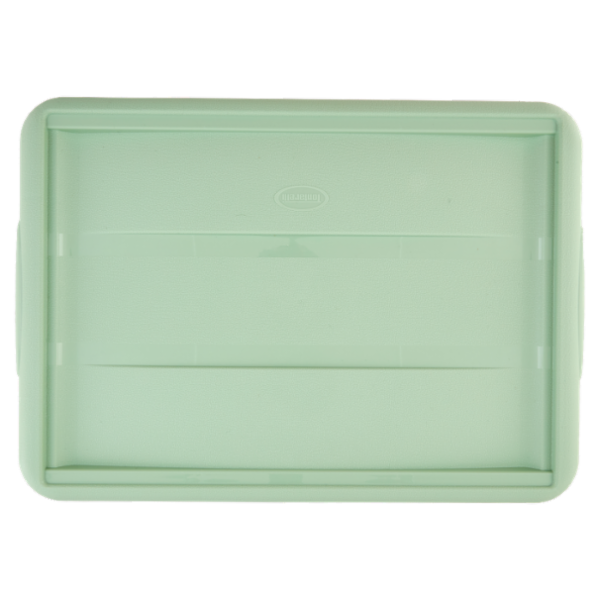 Selex Contenitore con Coperchio a Scatto Verde Cammeo 14 L