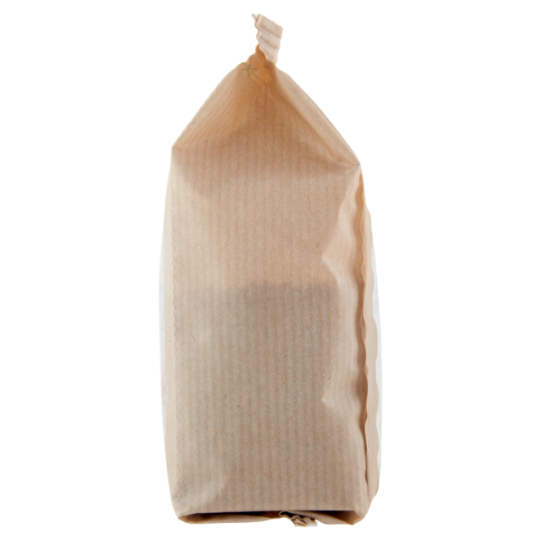 Selex Semi di Lino Interi Biologici 200 g