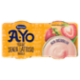 Arborea A-Yo Yogurt Senza Lattosio Fragola 2 x 125 g