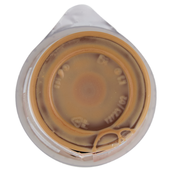 NESCAFÉ Latte Espresso 205ml
