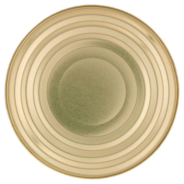 Sù Fagiolini Fini 2600 g