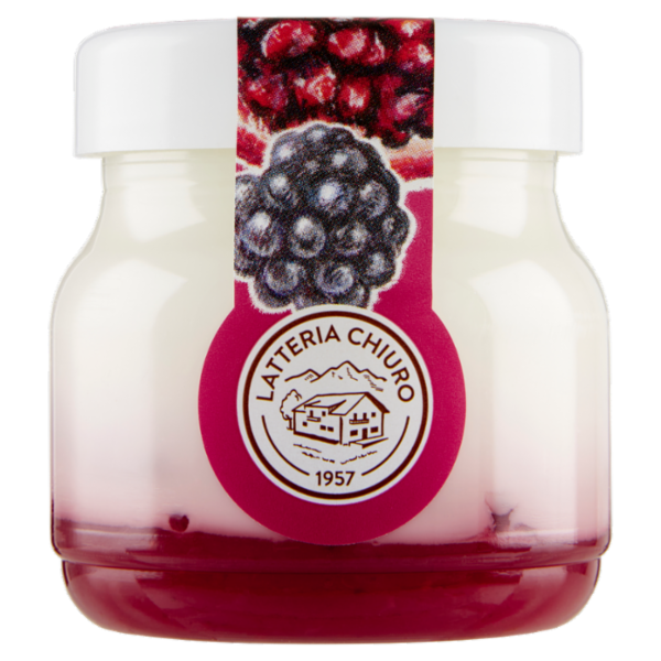 AlpiYò Yogurt di Valtellina Intero con confettura extra di Mora e Melograno 125 g