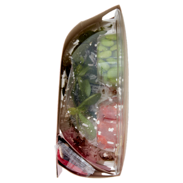 DimmidiSì Poke Bowl Salmone 280 g