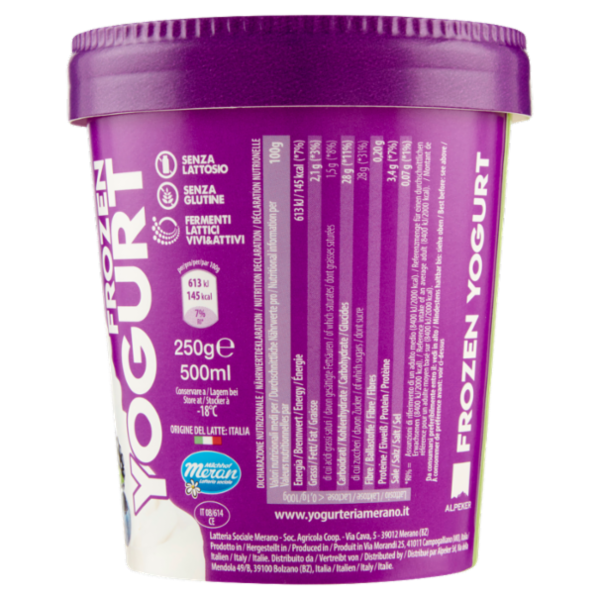 Meran Yogurteria Merano Frozen Yogurt Frutti di Bosco 250 g
