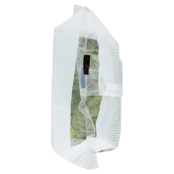 OrtoRomi Rucola 100 g