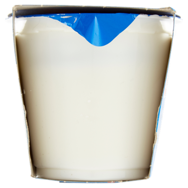 Selex Yogurt Intero Bianco 2x125 g