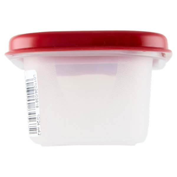 Selex Contenitore per Alimenti Freezer/Frigo Rettangolare 0,15 L