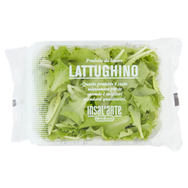 Insal'Arte Lattughino 100 g