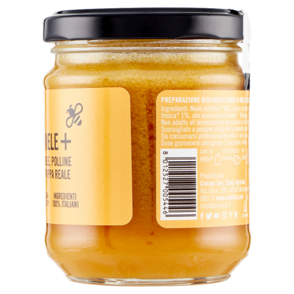 Mielizia Bio Miele+ Miele, Polline e Pappa Reale 250 g