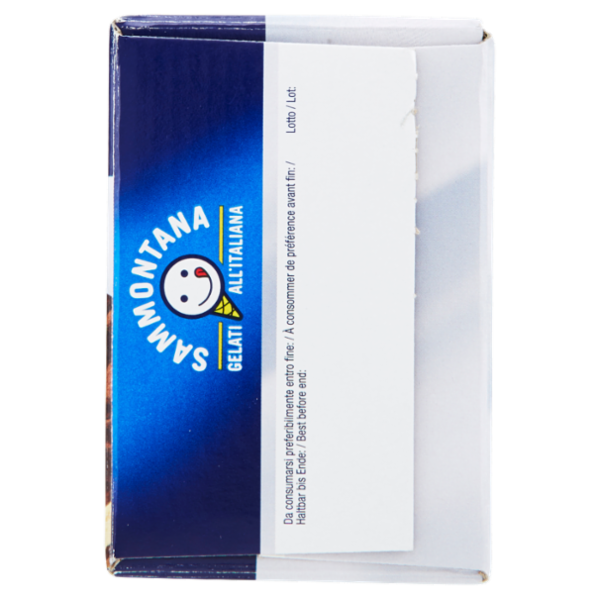 Sammontana Trancio gelato Tiramisù 300 g