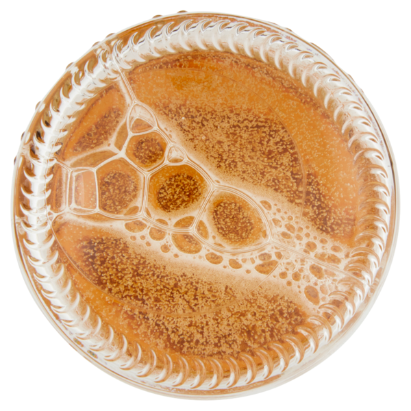 CORONA EXTRA Birra lager messicana bottiglia 35,5 cl