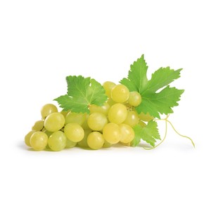 Uva Bianca Sugarone Peru